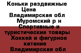 Коньки раздвижные › Цена ­ 1 000 - Владимирская обл., Муромский р-н Спортивные и туристические товары » Хоккей и фигурное катание   . Владимирская обл.,Муромский р-н